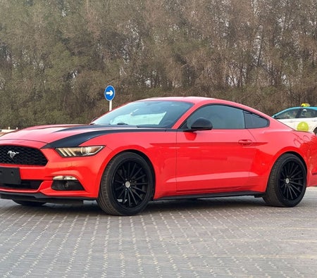 Orange Ford Mustang 2015