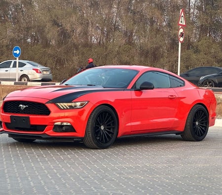 Orange Ford Mustang 2015