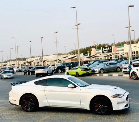 Ford Mustang  2017, photo 4 of 4