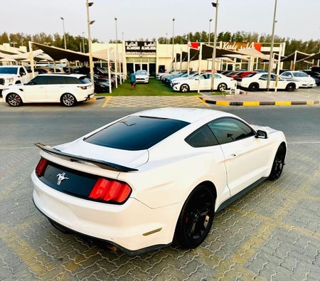 Белый Ford Mustang 2017 год Белый Ford Mustang 2017 год