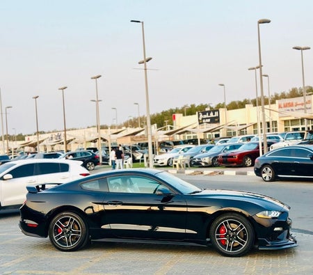 Ford Mustang  2019, photo 4 of 4