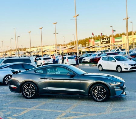 Ford Mustang  2019, photo 4 of 4