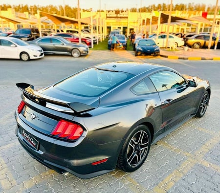 Gray Ford Mustang 2019