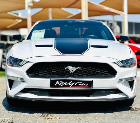 Ford Mustang  2021, photo 2 of 4