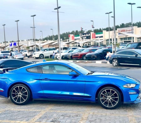 Ford Mustang  2021, photo 4 of 4