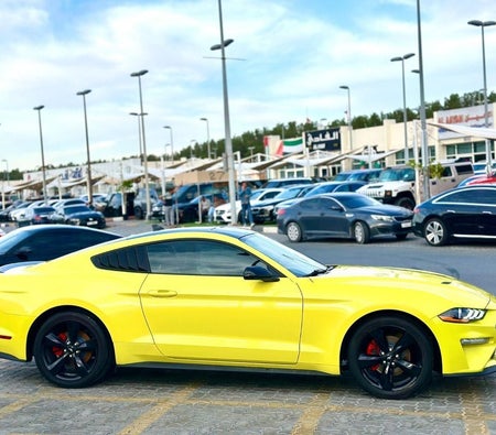 Ford Mustang  2021, photo 4 of 4