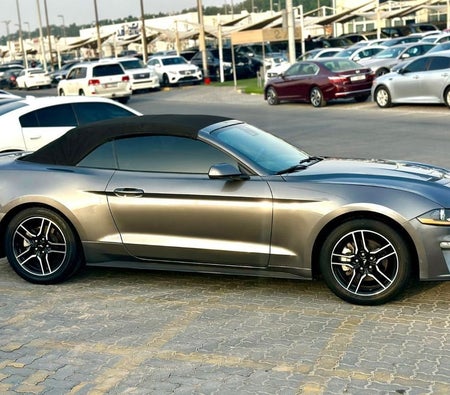 Ford Mustang  2021, photo 4 of 4