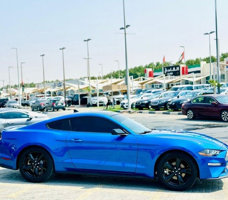 Ford Mustang  2021, photo 4 of 4