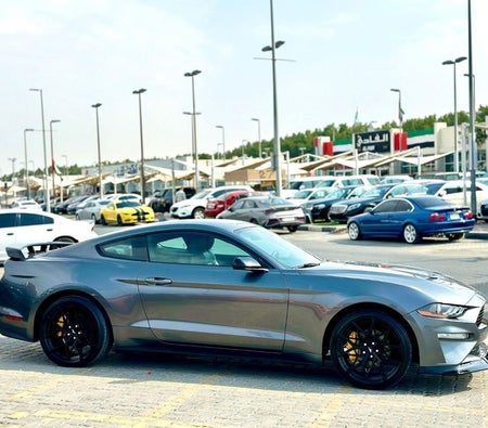 Ford Mustang  2021, photo 4 of 4