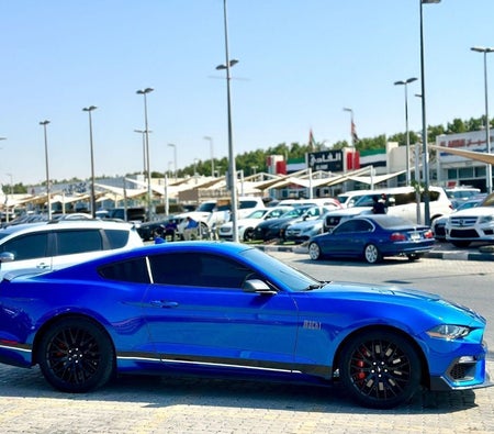 Ford Mustang  2021, photo 4 of 4