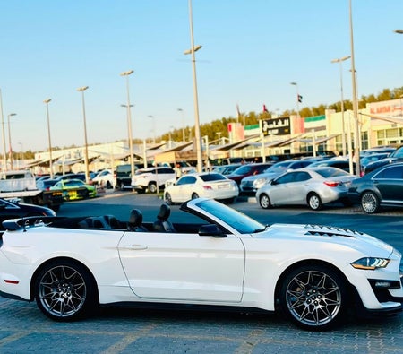 Ford Mustang  2022, photo 4 of 4