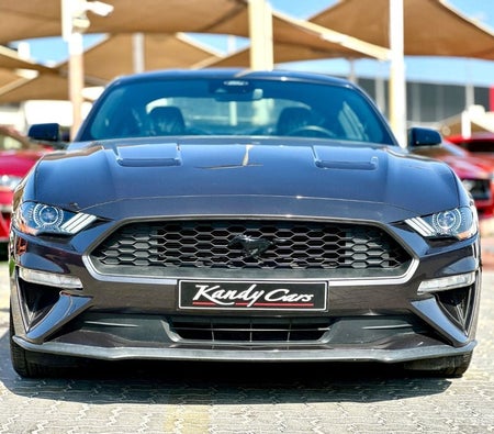 Ford Mustang  2022, photo 2 of 4