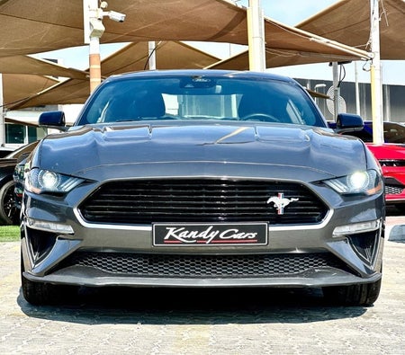 Ford Mustang  2022, photo 2 of 4