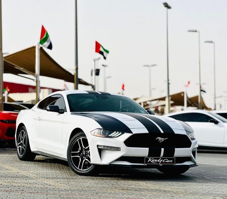 Ford Mustang  2022, photo 3 of 4
