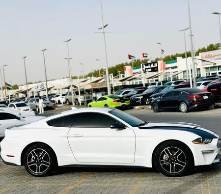 Ford Mustang  2022, photo 4 of 4