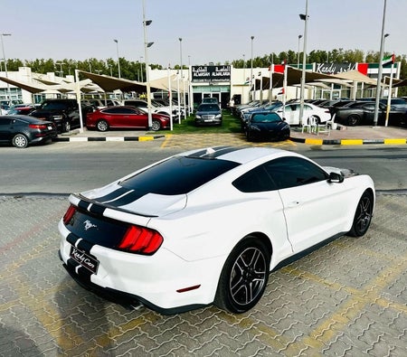 White Ford Mustang 2022