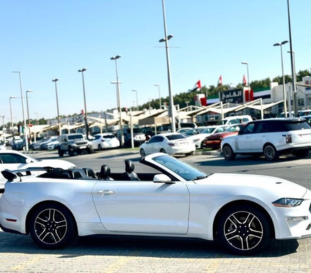 Ford Mustang  2022, photo 4 of 4