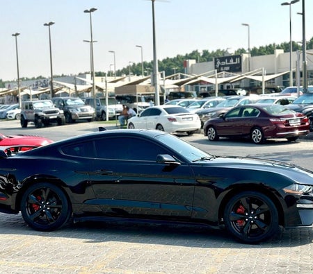 Ford Mustang  2022, photo 4 of 4