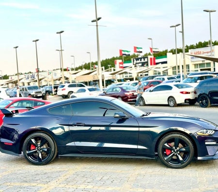 Ford Mustang  2022, photo 4 of 4