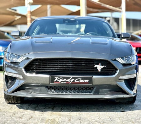 Ford Mustang  2022, photo 2 of 4