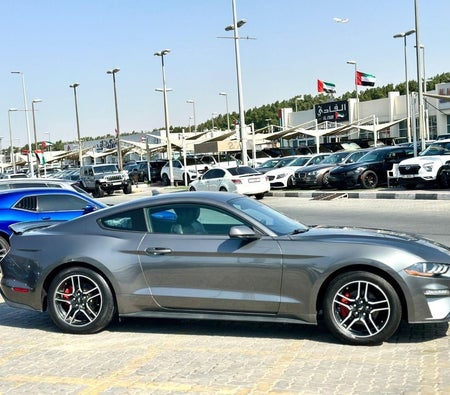 Ford Mustang  2022, photo 4 of 4