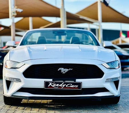 Ford Mustang  2023, photo 2 of 4