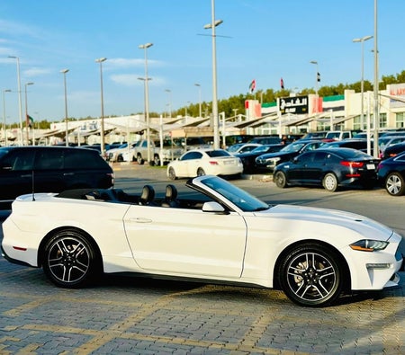 Ford Mustang  2023, photo 4 of 4