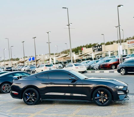 Ford Mustang  2023, photo 4 of 4