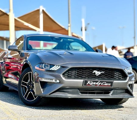 Ford Mustang  2023, photo 3 of 4