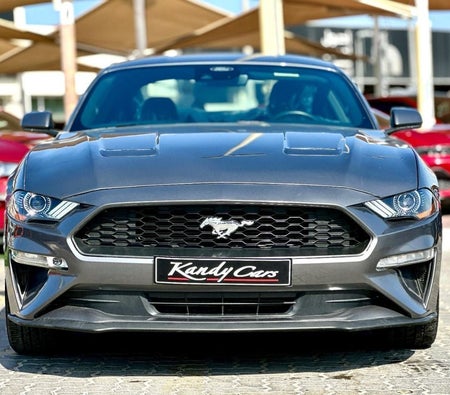 Ford Mustang  2023, photo 2 of 4