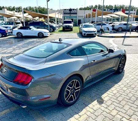 Серый Ford Mustang 2023 год Серый Ford Mustang 2023 год