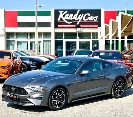 Ford Mustang  2023, photo 1 of 4