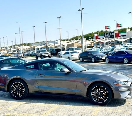 Ford Mustang  2023, photo 4 of 4