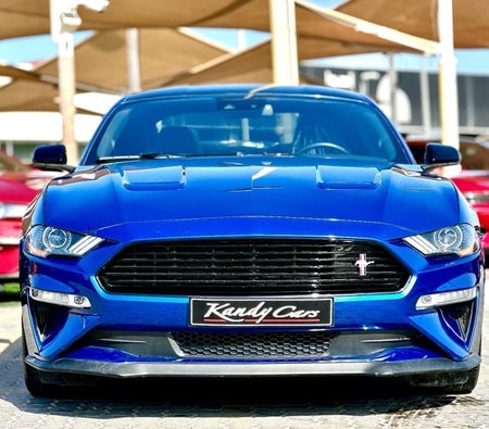 Ford Mustang  2023, photo 2 of 4