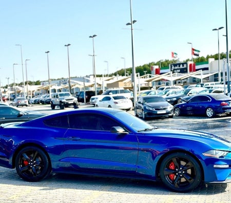 Ford Mustang  2023, photo 4 of 4