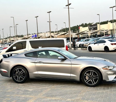 Ford Mustang  2023, photo 4 of 4