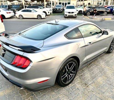 Серебро Ford Mustang 2023 год Серебро Ford Mustang 2023 год