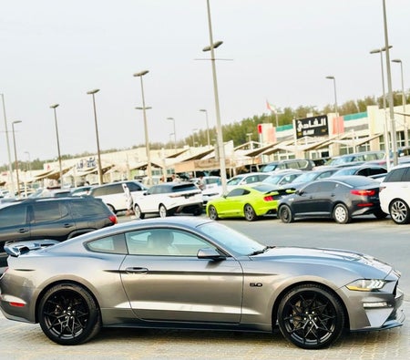 Ford Mustang  2023, photo 4 of 4