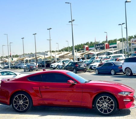 Ford Mustang  2023, photo 4 of 4