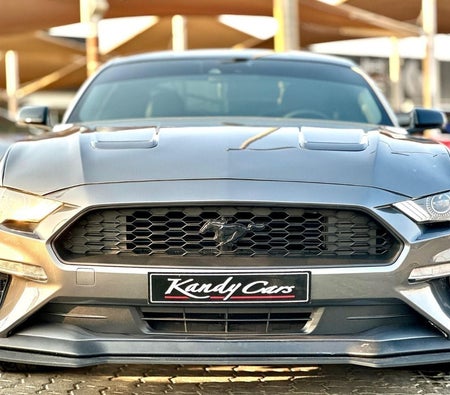 Ford Mustang  2023, photo 2 of 4