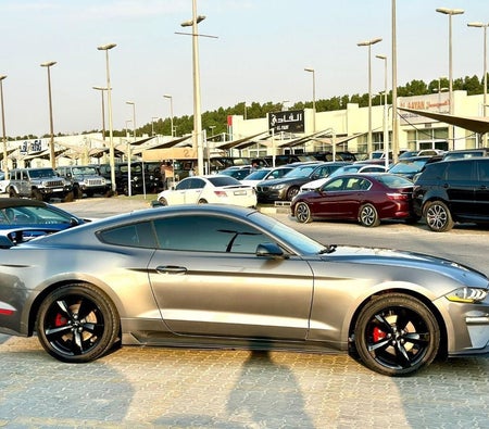 Ford Mustang  2023, photo 4 of 4