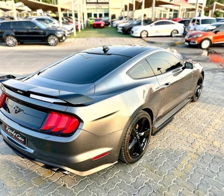 Gray Ford Mustang 2023