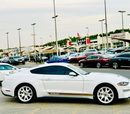 Ford Mustang  2023, photo 4 of 4