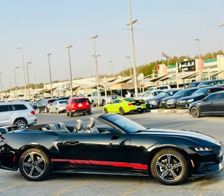 Ford Mustang  2024, photo 4 of 4