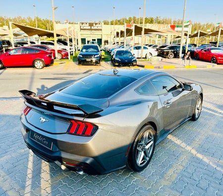 Gray Ford Mustang 2024