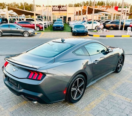 Gray Ford Mustang 2024