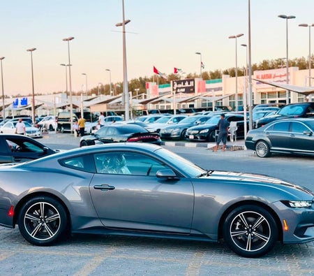 Ford Mustang  2024, photo 4 of 4