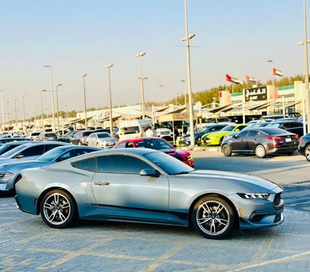 Ford Mustang  2024, photo 4 of 4