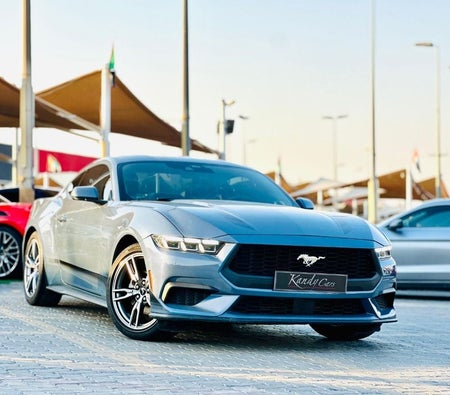 Ford Mustang  2024, photo 3 of 4