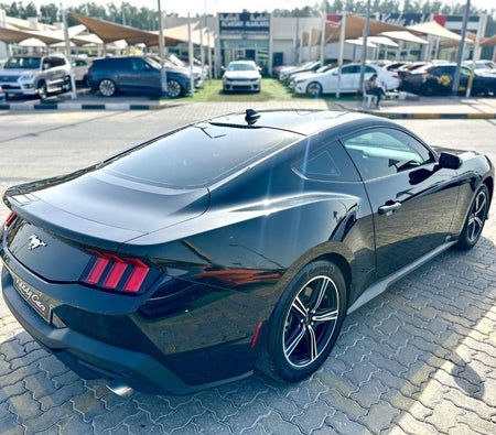 Black Ford Mustang 2024